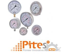 Model: 100S-WP-S66-DB-12N Pressure Gauges Micro Process Controls Vietnam