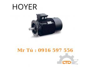 Hoyer 700 B3 11 kW 400/690V IE2 , HOYER VIỆT NAM 