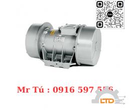 BLZ/50-75/6/01/50 , ĐỘNG CƠ BLZ , BLZ Invicta Vibrators