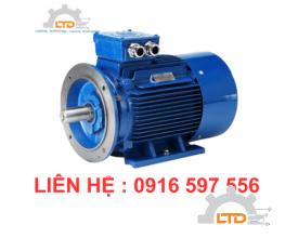 MOTOR HOYER   , ĐÔNG CƠ HOYER VIỆT NAM 