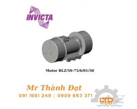 BLZ/50-75/6/01/50 Motor , Cung cấp thiết bị Invicta Vibrators