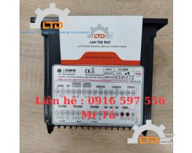 P-300C  , BỘ ĐIỆU KHIỂN NHIỆT ĐỘ P-300C , DKELECTRIC