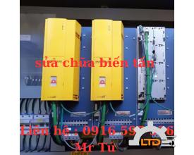Model DSD2-028,DSD2-036,DSD2-045,DSD2-056,DSD2-071,DSD2-100 DSD2-132  BAUMUELLER VIỆTNAM